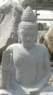 morepic-6